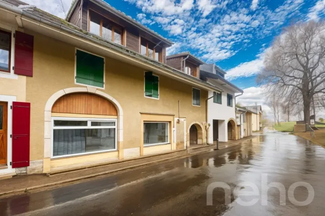 House for sale in Nyon (10)