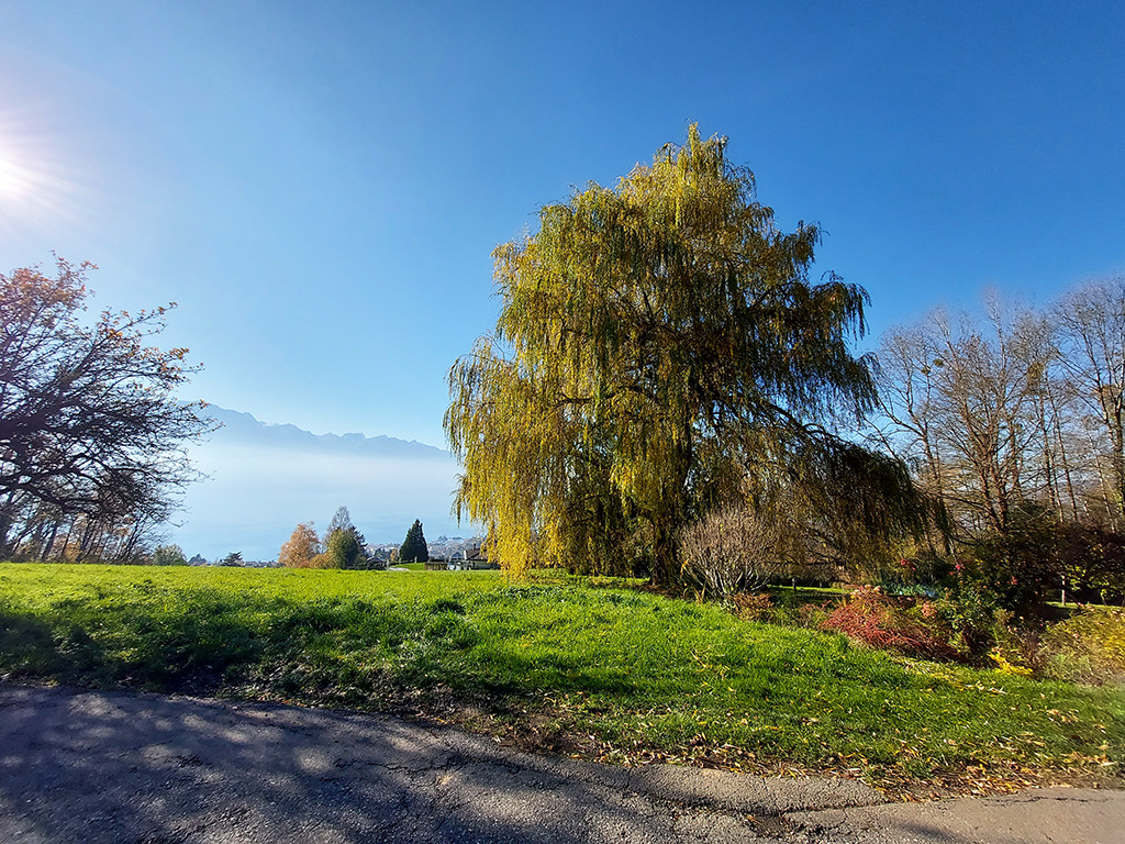 A vendre   Suisse - partenariat avec Smart-Propylaia Portail Immobilier