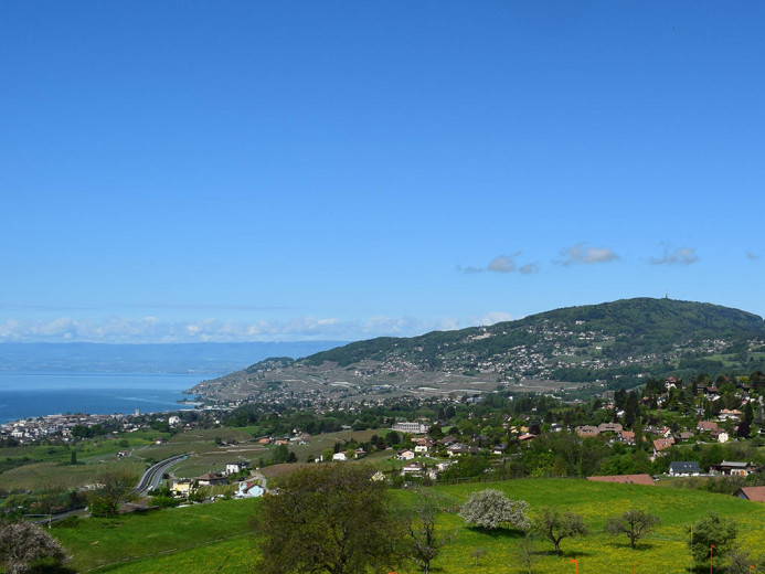 Wohnung zu verkaufen in Chailly-Montreux - Smart Propylaia