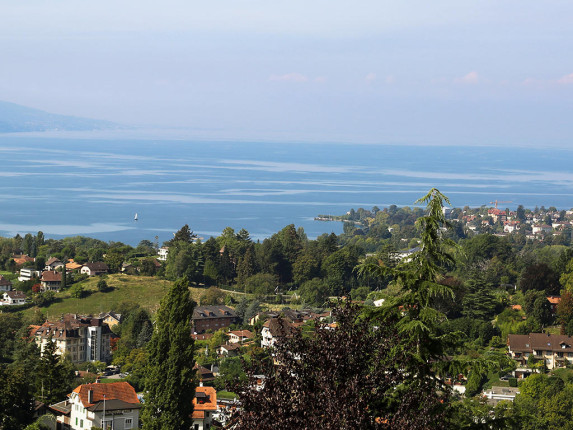 Apartment for sale in Chailly-Montreux (2)