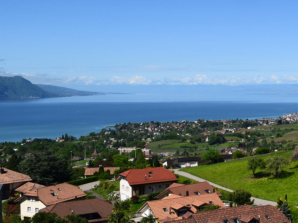 A vendre   Suisse - partenariat avec Smart-Propylaia Portail Immobilier