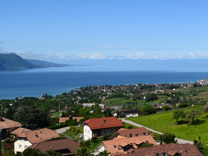 Apartment for sale in Chailly-Montreux - IDEAL INVESTOR - LOVELY FLAT - 2.5 ROOMS - Smart Propylaia (3)