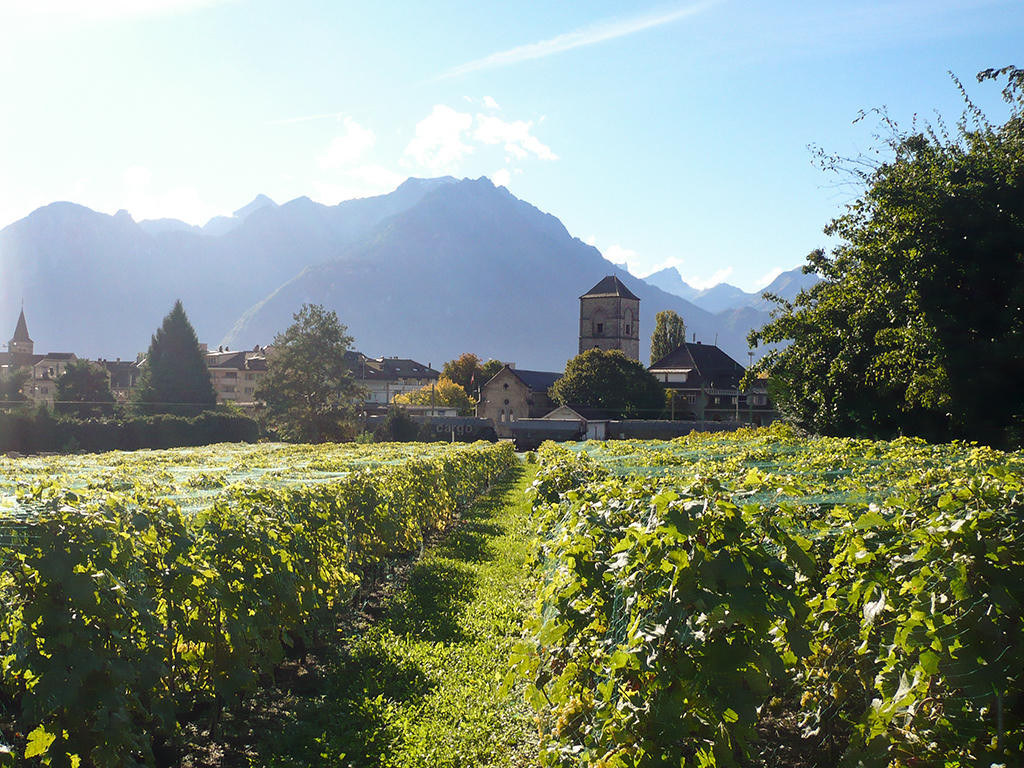 In vendita   Svizzera - 
cChic-immoHub Il vostro portale immobiliare