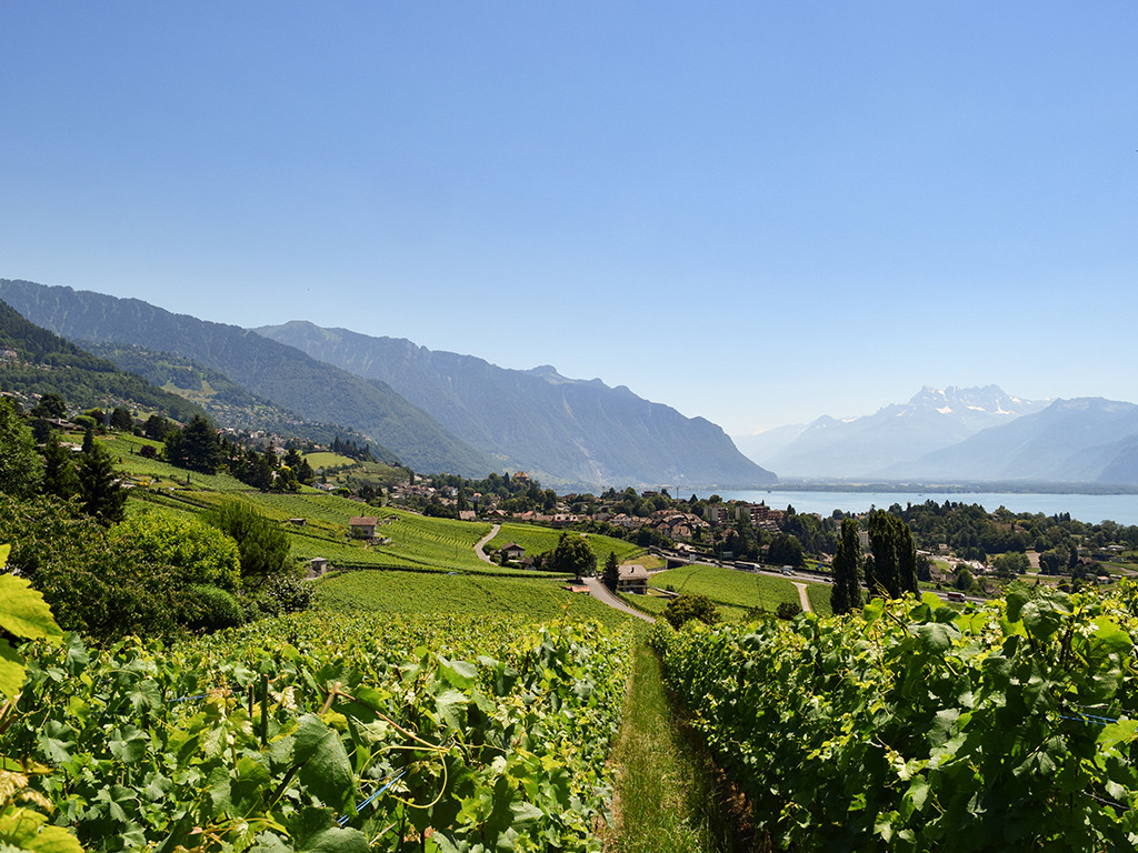A vendre   Suisse - cChic-immoHub votre portail immobilier