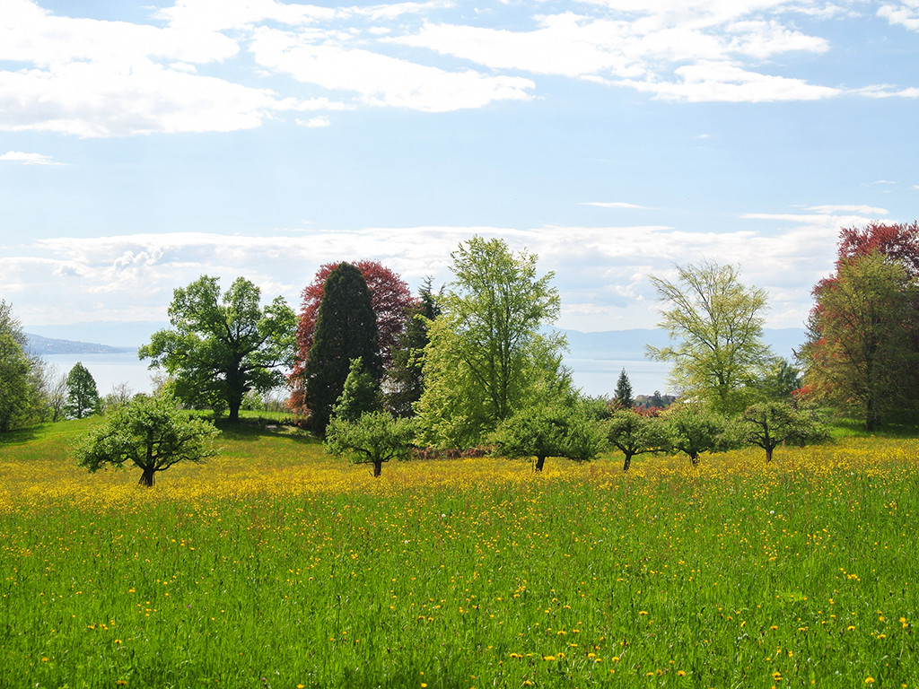A vendre   Suisse - cChic-immoHub votre portail immobilier