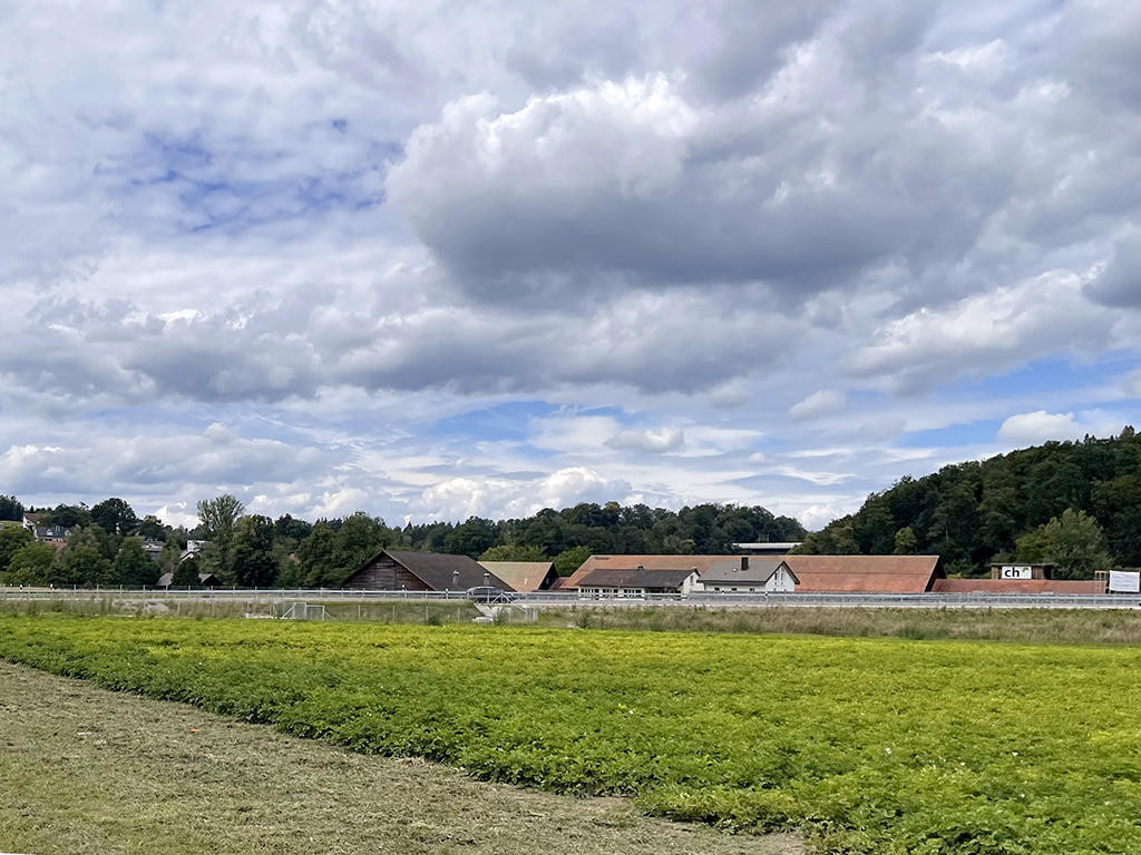 A vendre   Suisse - cChic-immoHub votre portail immobilier