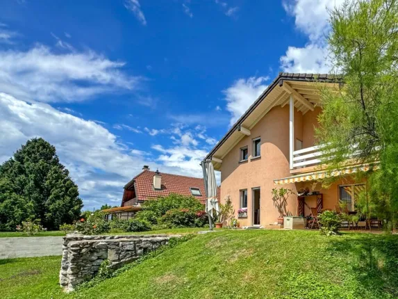 Maison à vendre à Aigle (19)