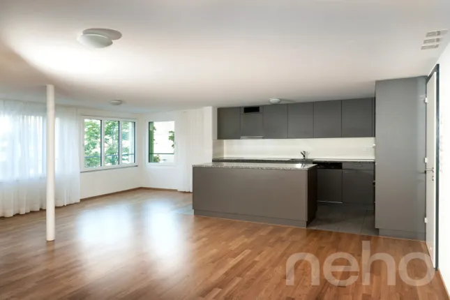 Appartement à vendre à Flüelen (2)