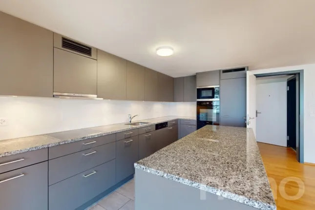 Appartement à vendre à Flüelen (5)