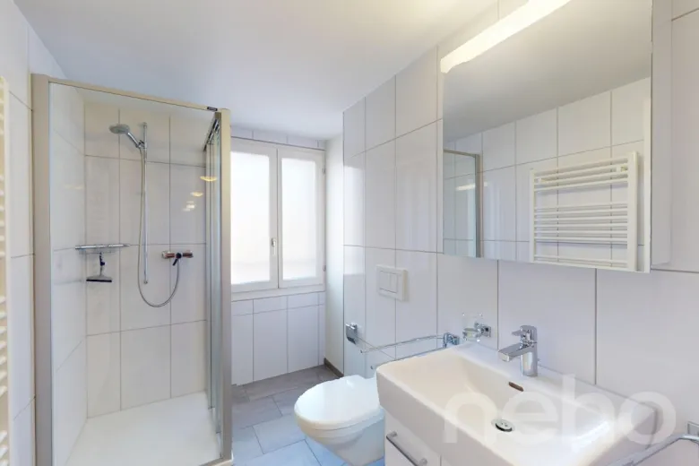 Appartamento in vendita a Flüelen - Appartamento in vendita a Flüelen, 5.5 locali, 170 m2 - Smart Propylaia (9)