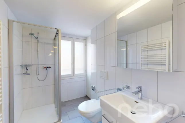 Appartement à vendre à Flüelen (9)