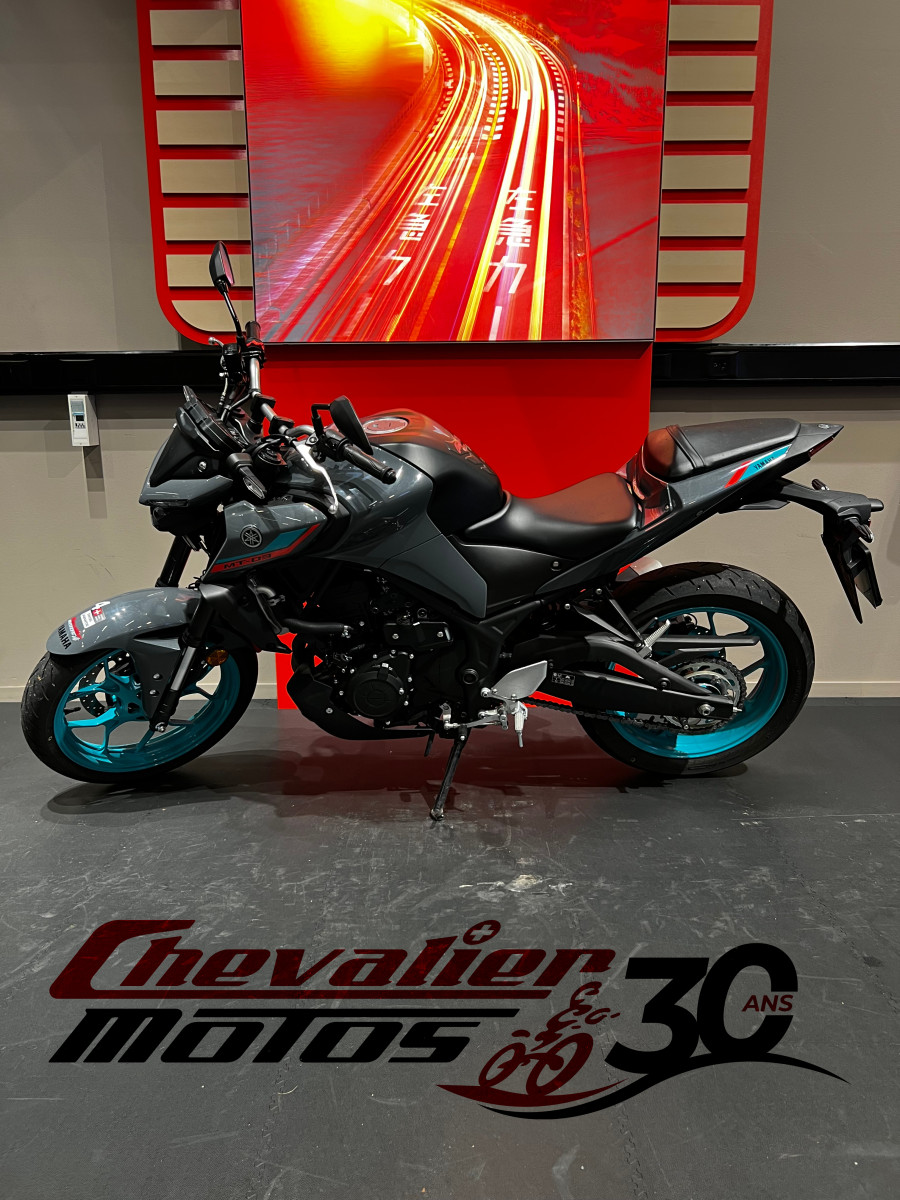 Yamaha MT MT-03 zu verkaufen - Yamaha MT-03 ABS - Smart Propylaia (3)