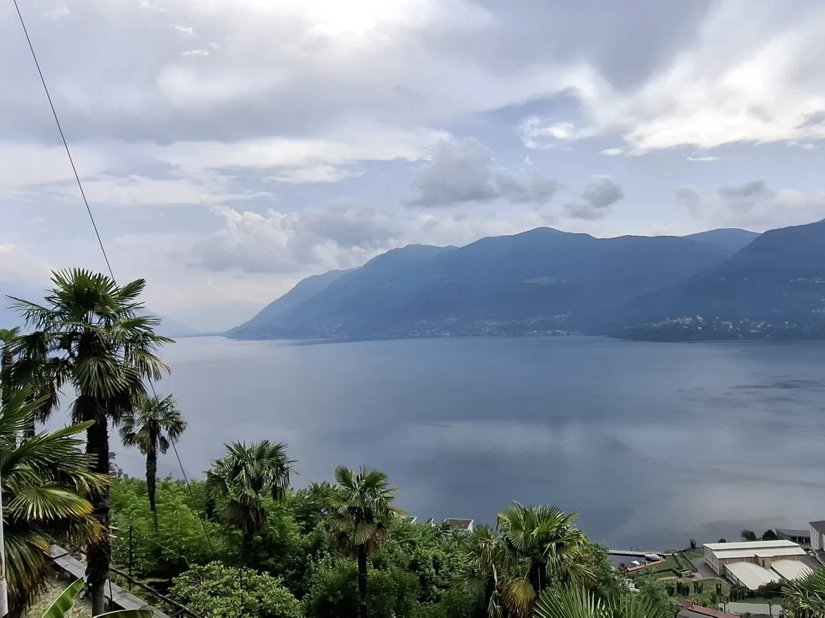 Brissago In vendita Terreno edificabile Svizzera - 
cChic-immoHub Il vostro portale immobiliare