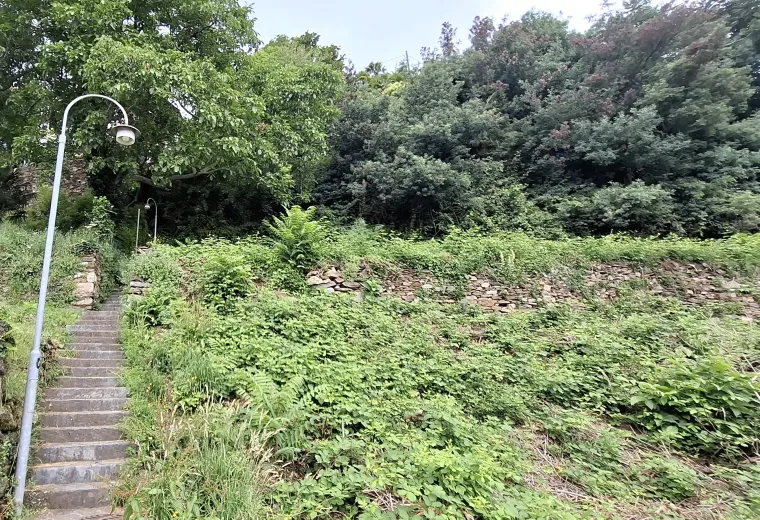 Plot for sale in Brissago - Smart Propylaia (4)