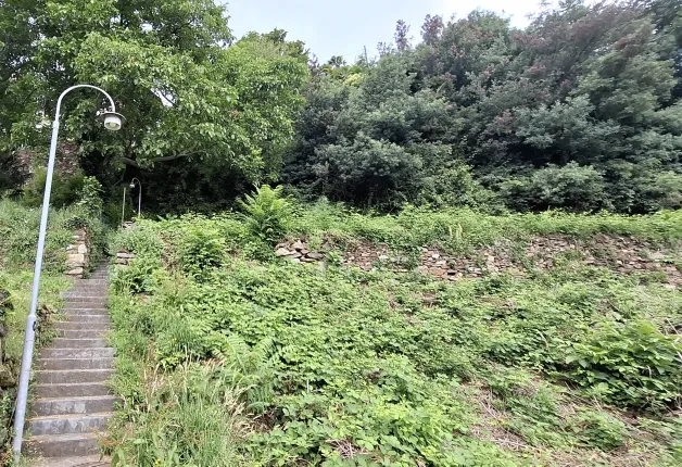 Plot for sale in Brissago (4)