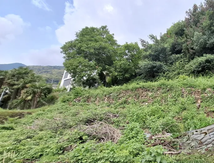 Plot for sale in Brissago - Smart Propylaia (5)
