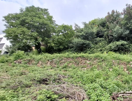 Plot for sale in Brissago (6)