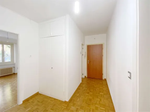 Apartment for rent in Lugano (9)