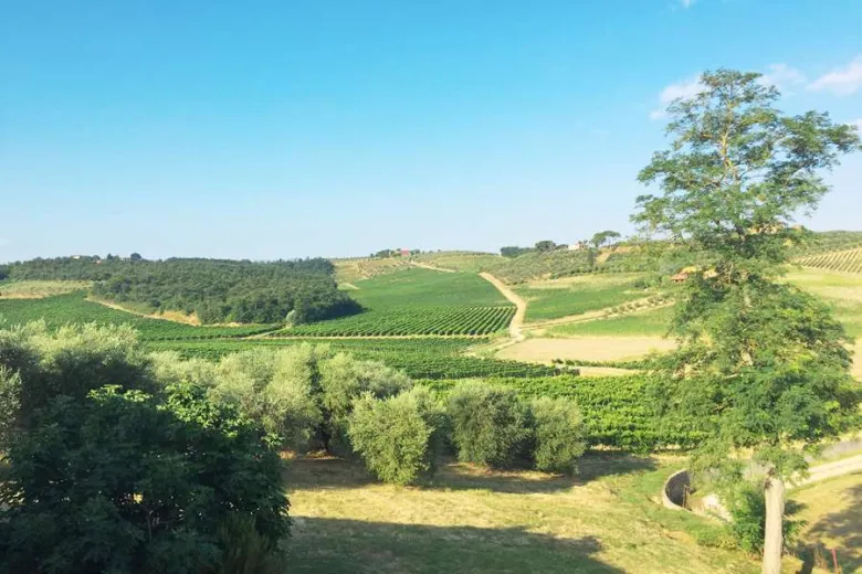 Maison à vendre à Cerreto Guidi - Villa à vendre à Cerreto Guidi, 9 pièces, 300 m2 - Smart Propylaia (3)