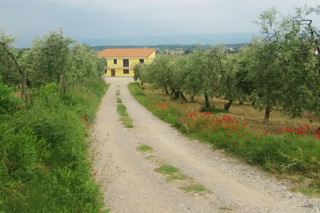 House for sale in Cerreto Guidi (10)