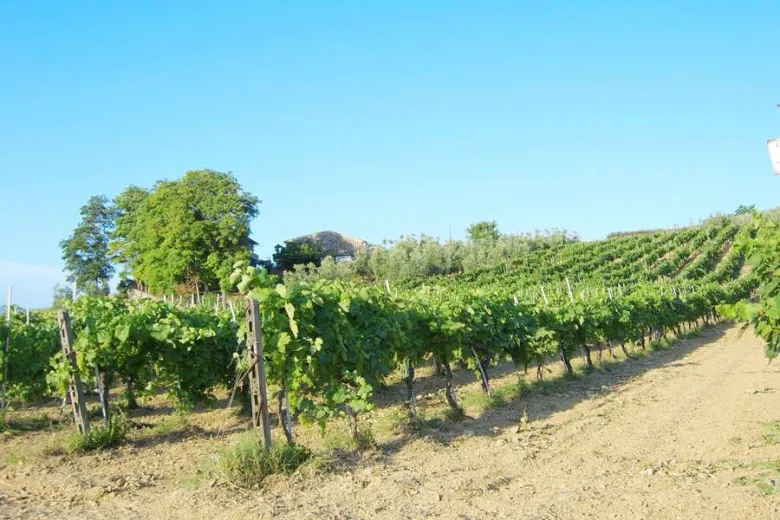 Maison à vendre à Cerreto Guidi - Villa à vendre à Cerreto Guidi, 9 pièces, 300 m2 - Smart Propylaia (12)