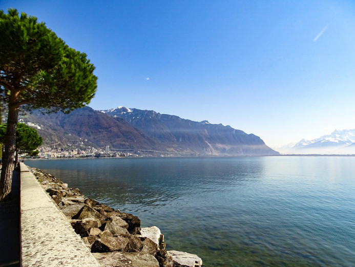 Maison à vendre à Montreux - Smart Propylaia