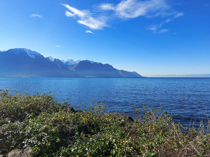 Maison à vendre à Montreux - Smart Propylaia (2)