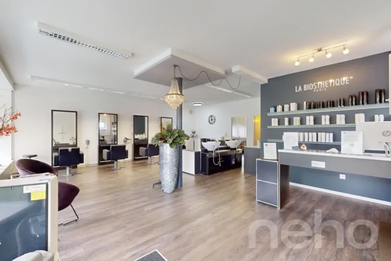 Commercio/industria in vendita a Langendorf - Smart Propylaia (2)