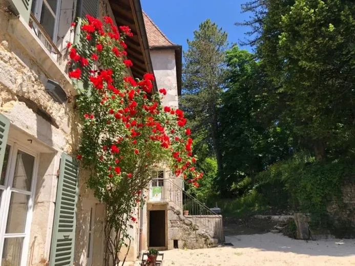 Maison à vendre à Montanges - À VENDRE – Château d’Exception entre Annecy et Genève – Élégance Médiévale au Cœur du Haut-Jura. - Smart Propylaia (6)