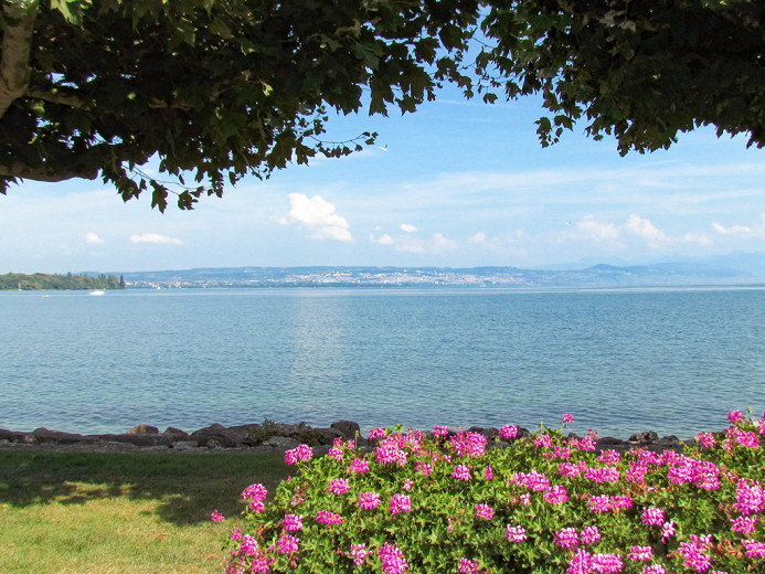 Apartment for sale in Morges - Smart Propylaia