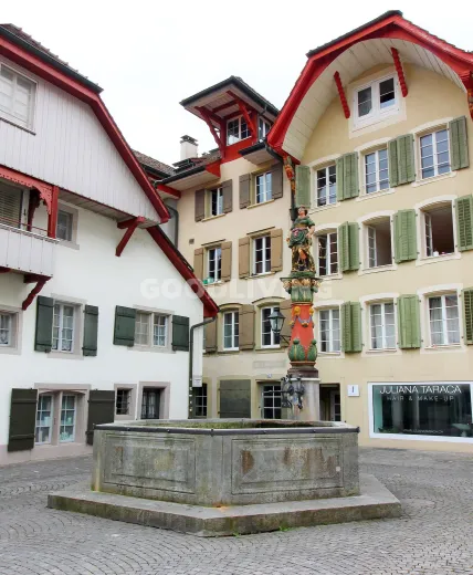 In vendita Oggetto industriale Aarau Svizzera - collaborazione con il portale immobiliare Smart-Propylaia