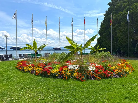 Apartment for sale in Nyon (2)