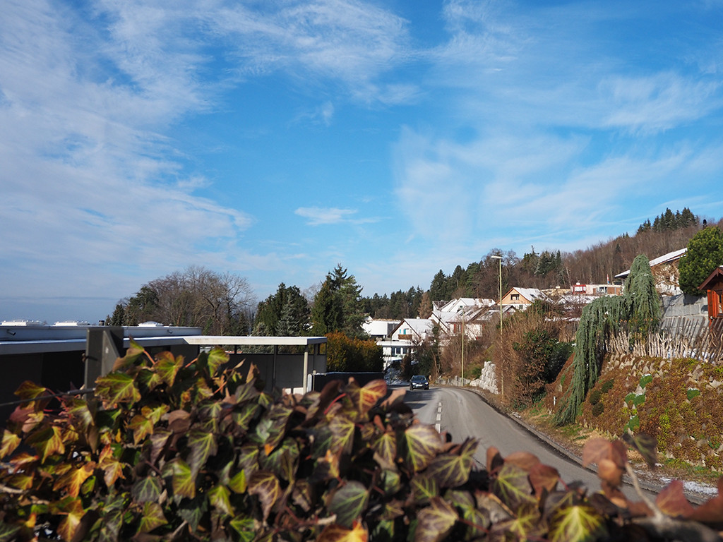 A vendre   Suisse - partenariat avec Smart-Propylaia Portail Immobilier