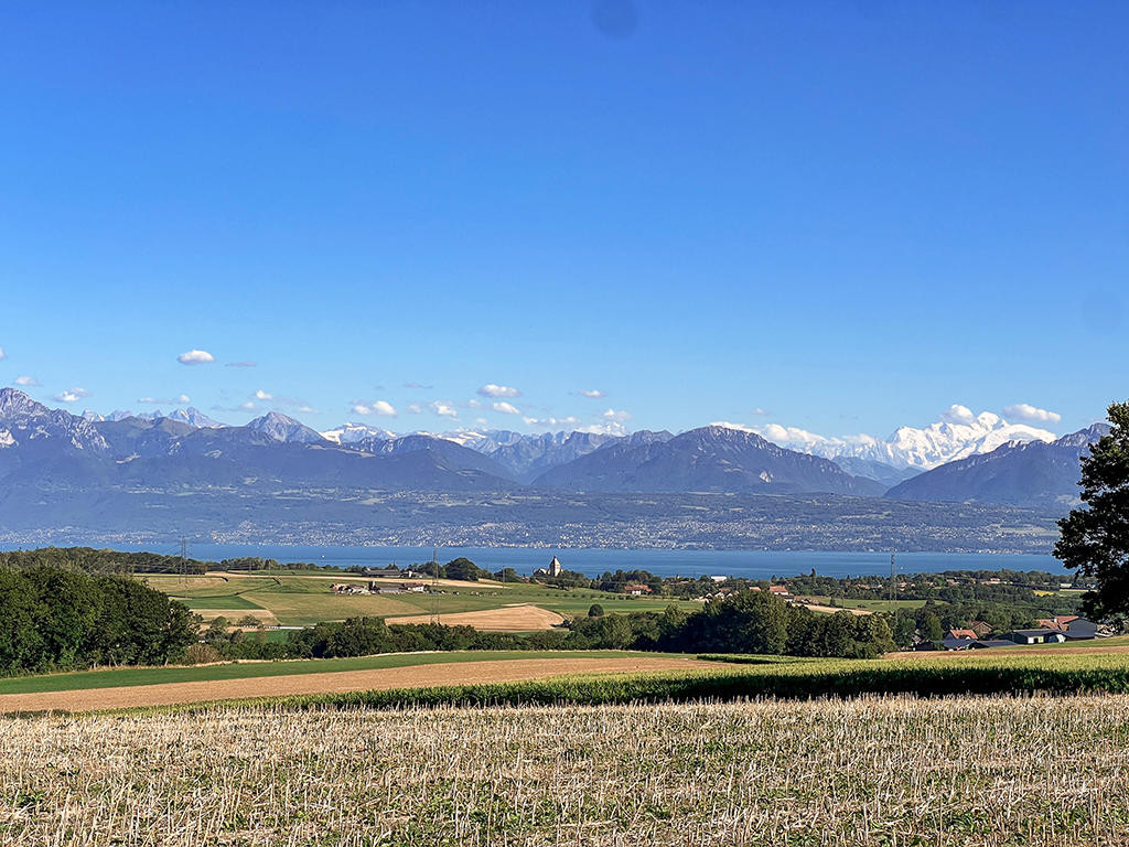 A vendre   Suisse - partenariat avec Smart-Propylaia Portail Immobilier