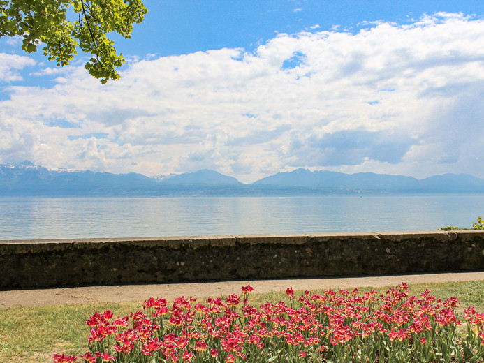 Apartment for sale in Morges - Smart Propylaia (2)