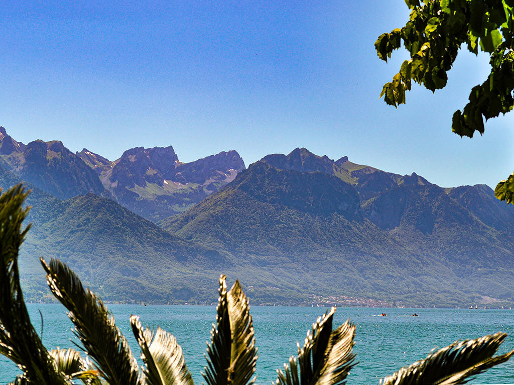 A vendre   Suisse - cChic-immoHub votre portail immobilier