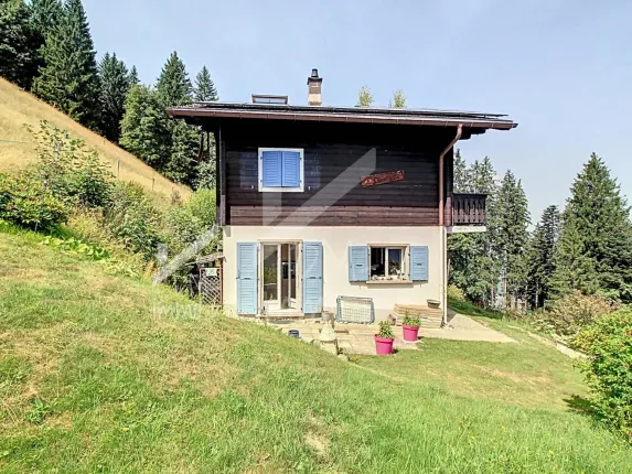 Appartement à vendre à Choëx (2)