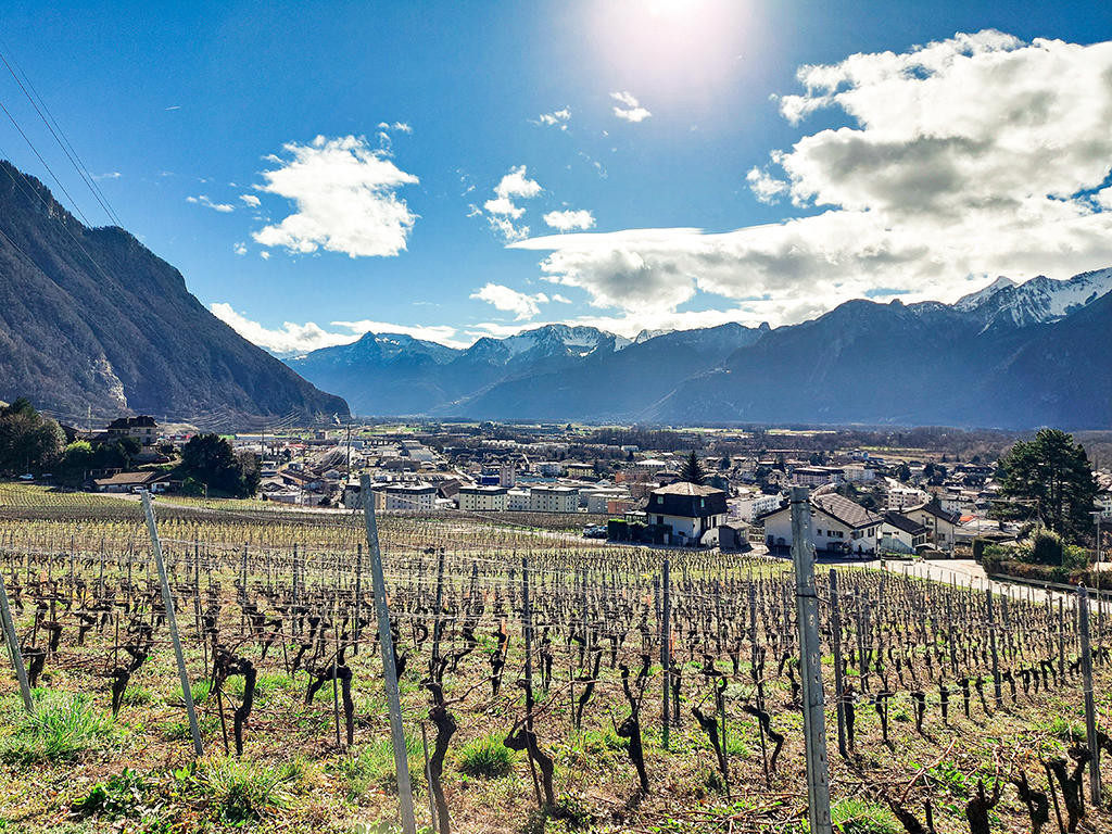 A vendre   Suisse - cChic-immoHub votre portail immobilier