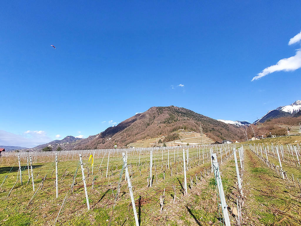 A vendre   Suisse - cChic-immoHub votre portail immobilier