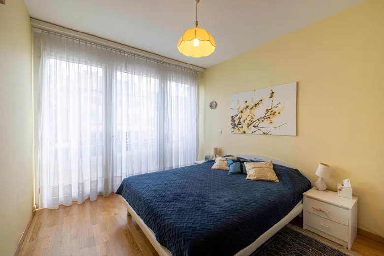 Apartment for sale in Chêne-Bougeries - Apartment for sale in Chêne-Bougeries, 5 rooms, 126 m2 - Smart Propylaia (12)