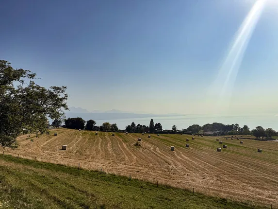 Apartment for sale in Grandvaux (3)