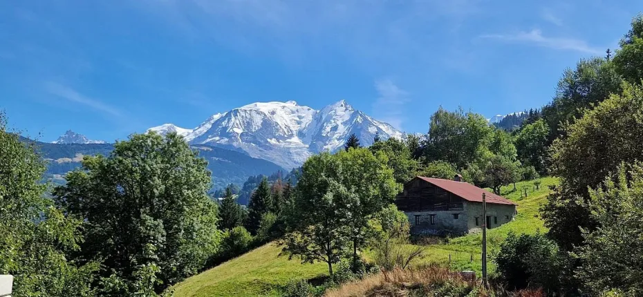 Haus zu verkaufen in Combloux (3)