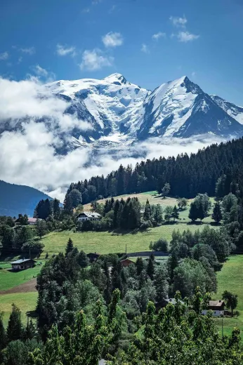 Haus zu verkaufen in Combloux - Smart Propylaia (25)