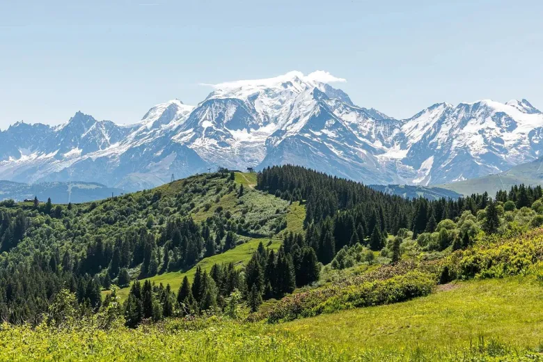 House for sale in Combloux - Luxury family chalet – Mont Blanc view in Combloux - Smart Propylaia (12)