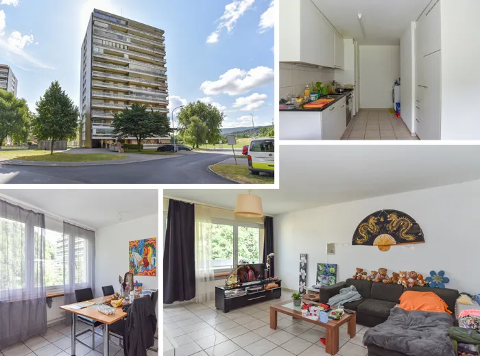 Zu verkaufen Trimbach Wohnung Schweiz - cChic-immoHub Ihr Immobilienportal