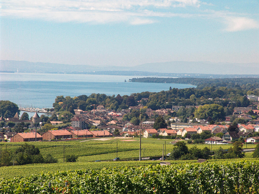A vendre   Suisse - cChic-immoHub votre portail immobilier