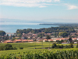 ON THE HEIGHTS OF ROLLE - MAGNIFICENT VILLAGE HOUSE - LAKE AND MOUNTAIN VIEWS