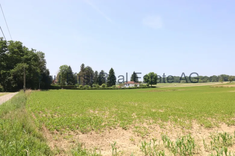 Haus zu verkaufen in Allschwil (4)