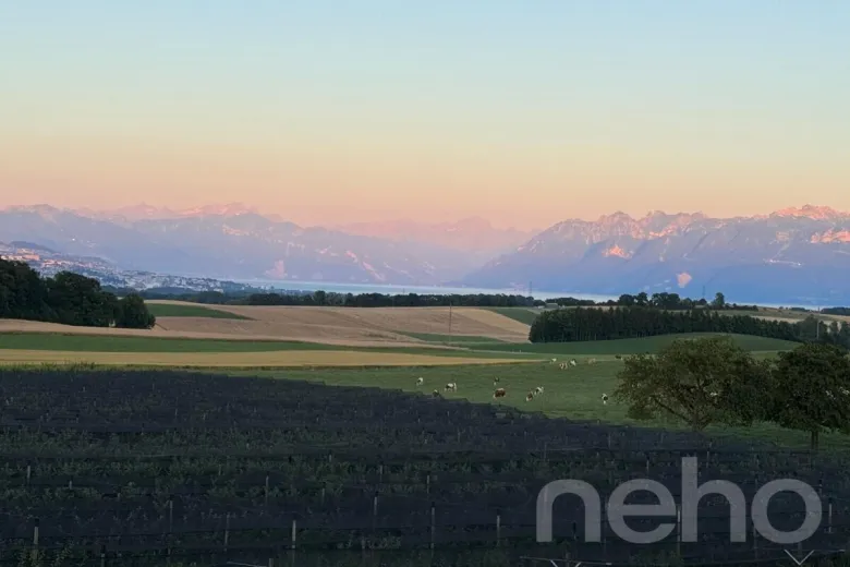A vendre Morges Appartement mansardé Suisse - cChic-immoHub votre portail immobilier
