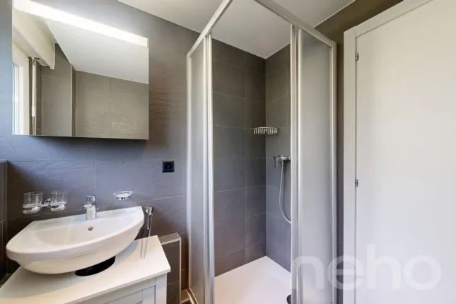 Appartement à vendre à Corin-de-la-Crête (9)